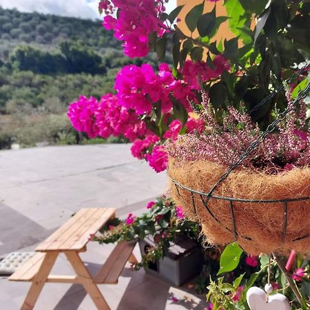 Villa I Sogni Sennori Kültér fotó